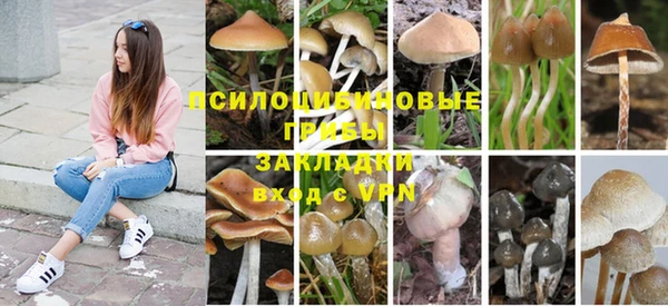 соль ск Баксан