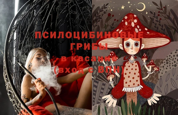 кокс Аркадак