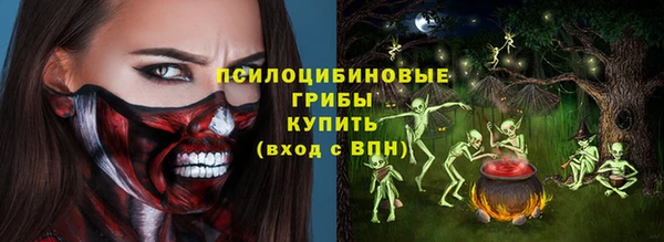 индика Покровск